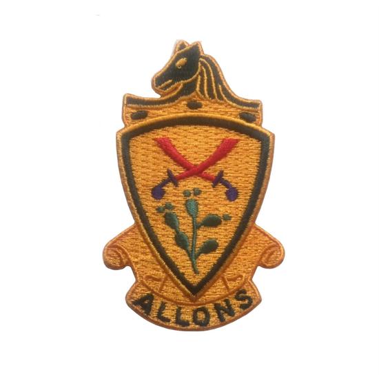 11th ACR Subdued Regulation Military Patch